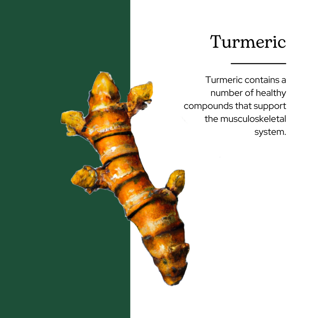 Turmeric Powder