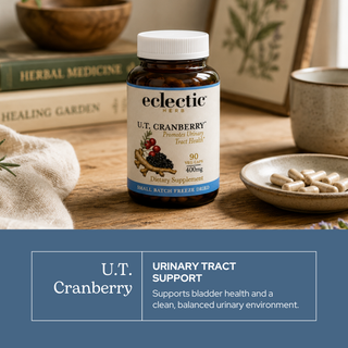 Bottle of U.T. Cranberry Capsules with natural urinary tract support ingredients like cranberry, uva ursi, and parsley