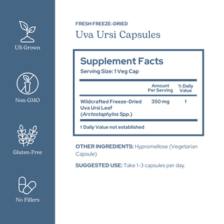 Uva Ursi Capsules