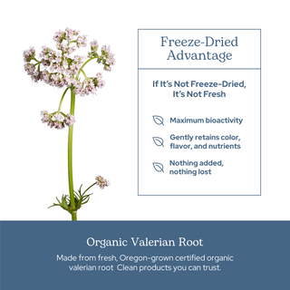Valerian Capsules