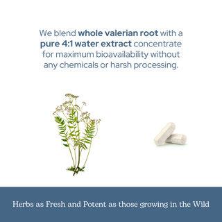 Valerian Capsules