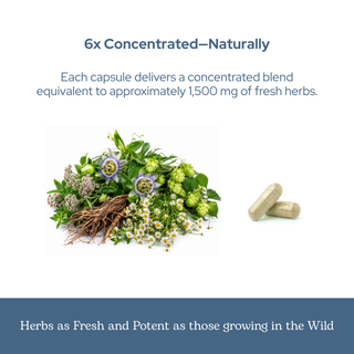 Valerian passionflower capsules for relaxation, sleep, and stress support with natural herbs
