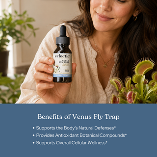 Venus Fly Trap Extract