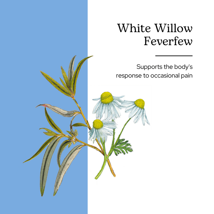 White Willow Feverfew