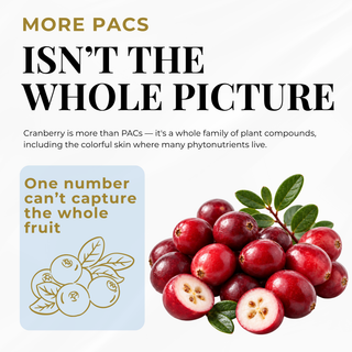 Cranberries and herbal ingredients graphic illustrating that whole-plant wellness is more than isolated active compounds.