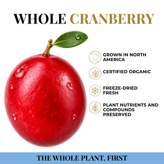 The whole cranberry graphic. Grown in America. Certified organic. Freeze-dried Fresh. Preserved nutrients. The whole plant first.