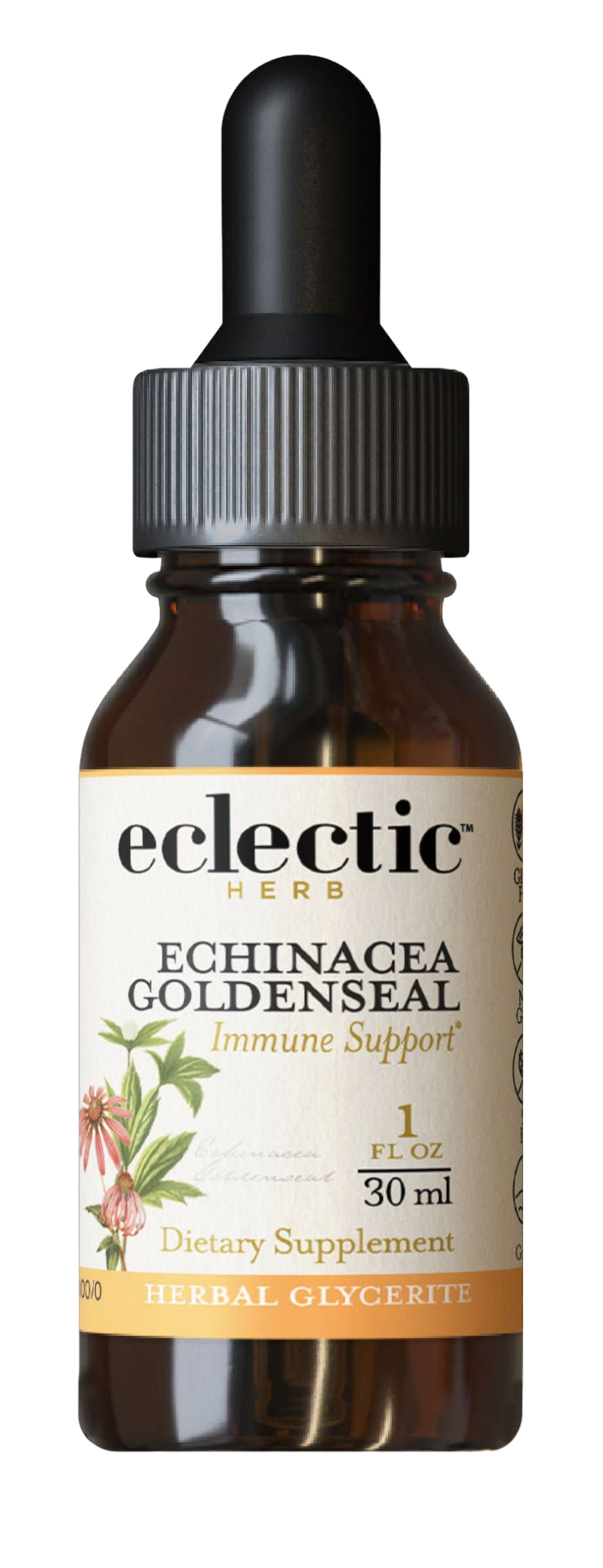 Echinacea - Goldenseal Glycerite