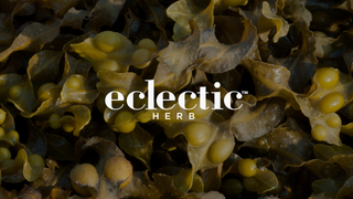 Bladderwrack