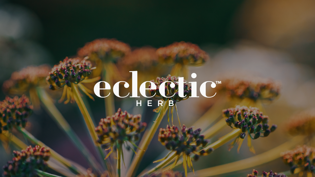 Lomatium