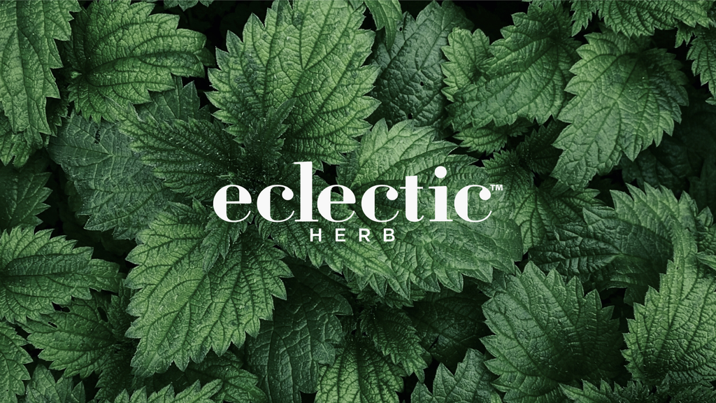 Nettles Quercetin