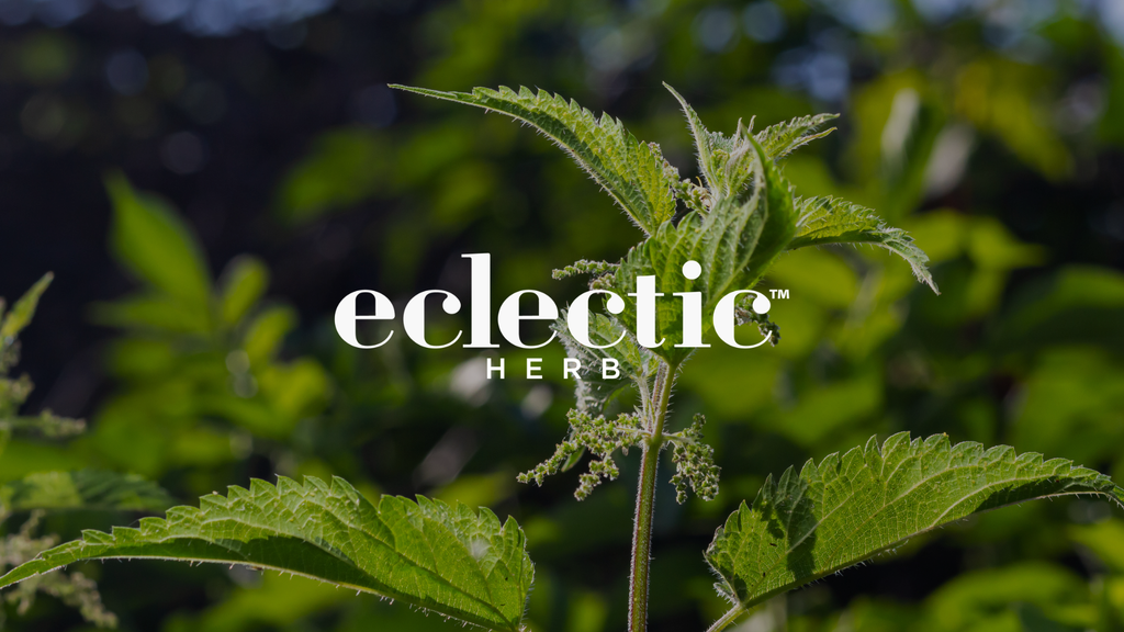 Nettle Leaf