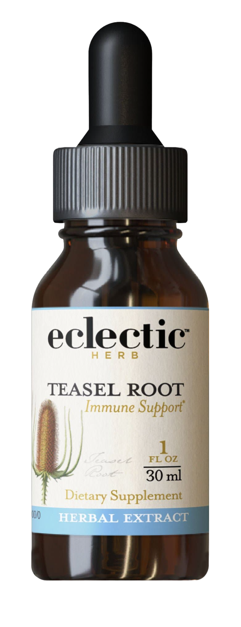 Teasel Root Extract