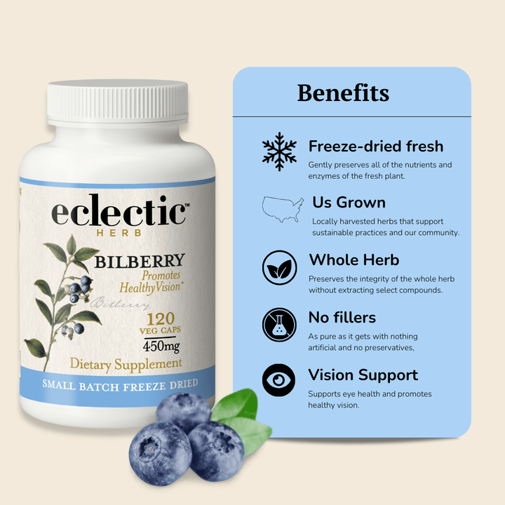 Bilberry Capsules - eclecticherb