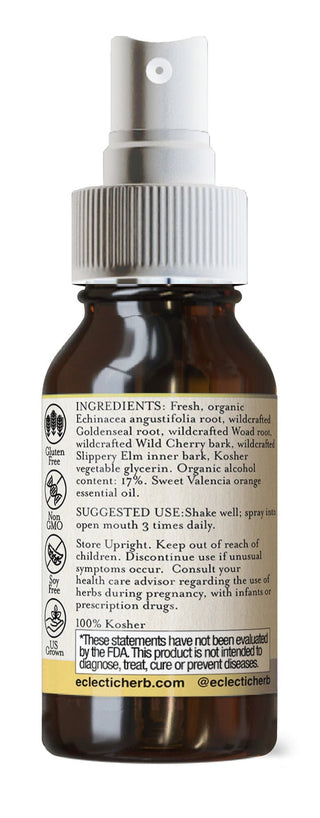 Echinacea